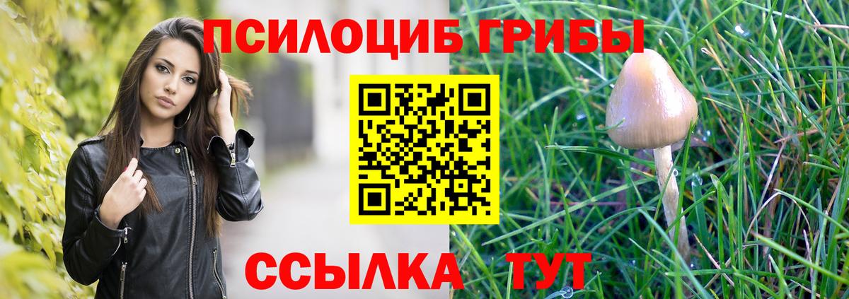 Галлюциногенные грибы Psilocybe  Вход с VPN  Галлюциногенные грибы ЛСД  Верхняя Салда 